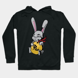 Year of the Rabbit Hoodie